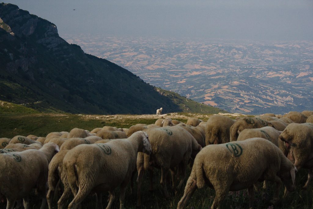 come leggere un luogo prima di fotografarlo